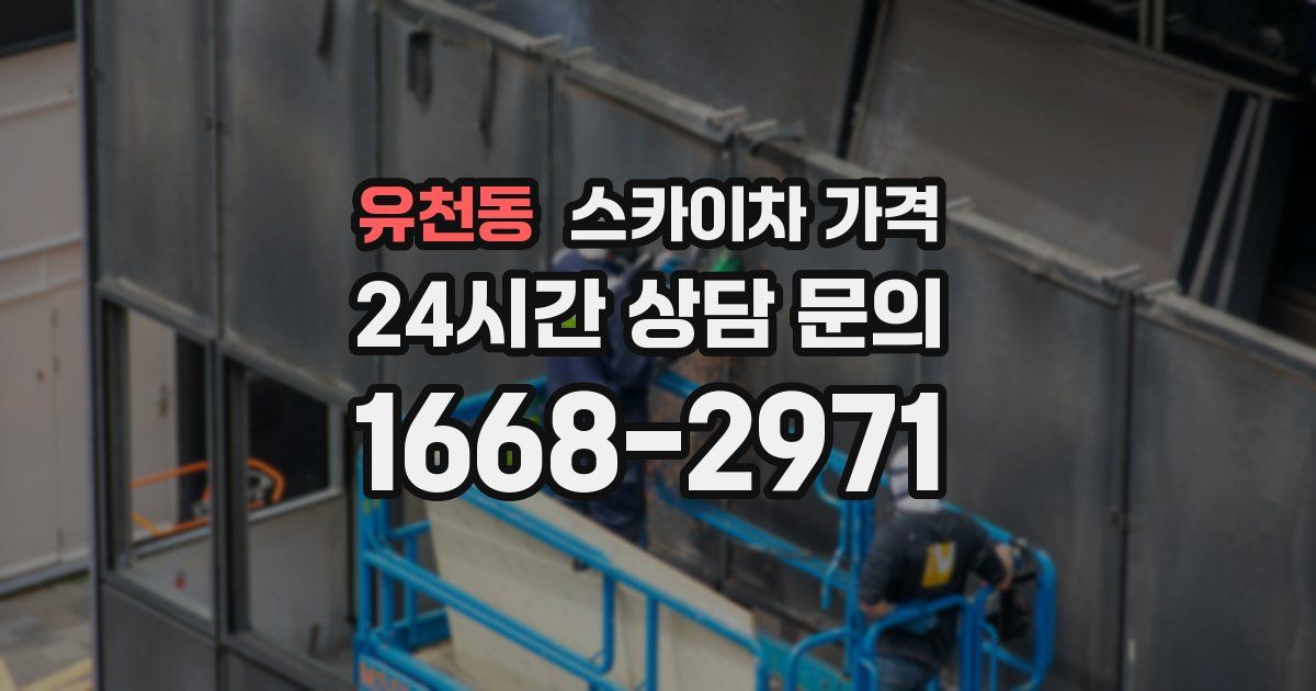 유천동 스카이차 가격