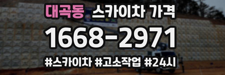 대곡동 스카이차 가격