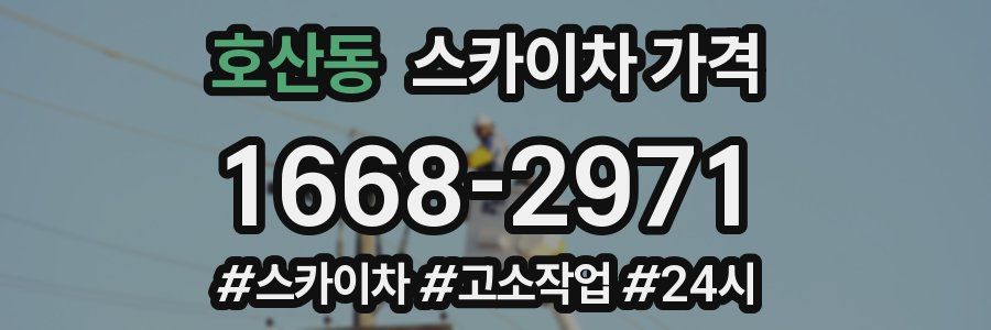 호산동 스카이차 가격