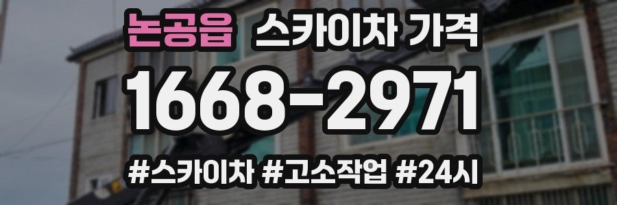 논공읍 스카이차 가격