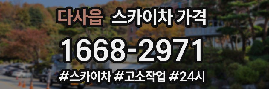 다사읍 스카이차 가격