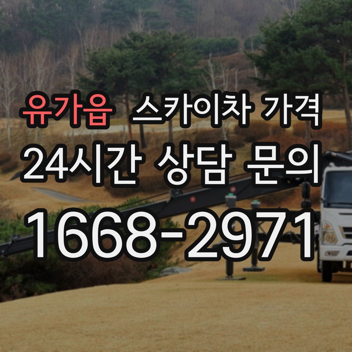 유가읍 스카이차 가격