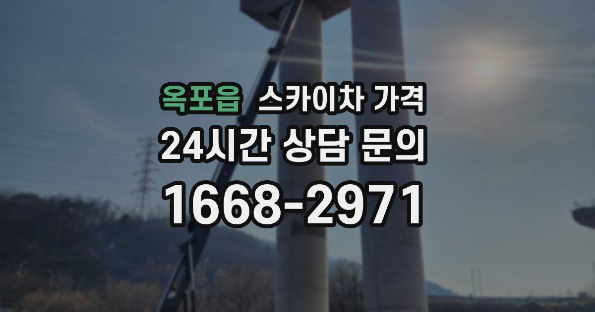 옥포읍 스카이차 가격