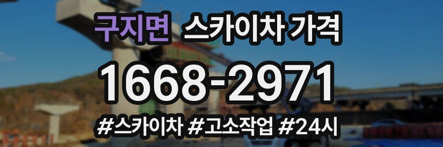 구지면 스카이차 가격