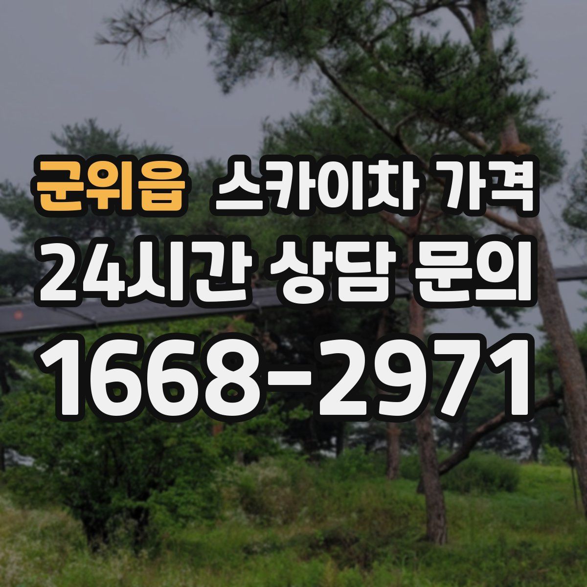 군위읍 스카이차 가격