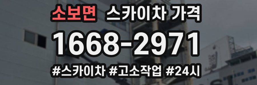 소보면 스카이차 가격