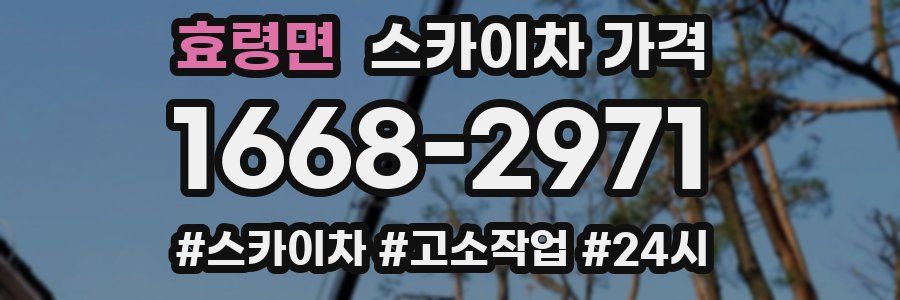 효령면 스카이차 가격