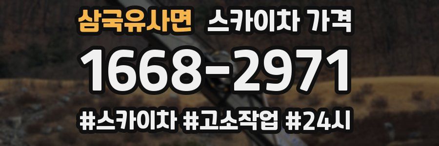 삼국유사면 스카이차 가격