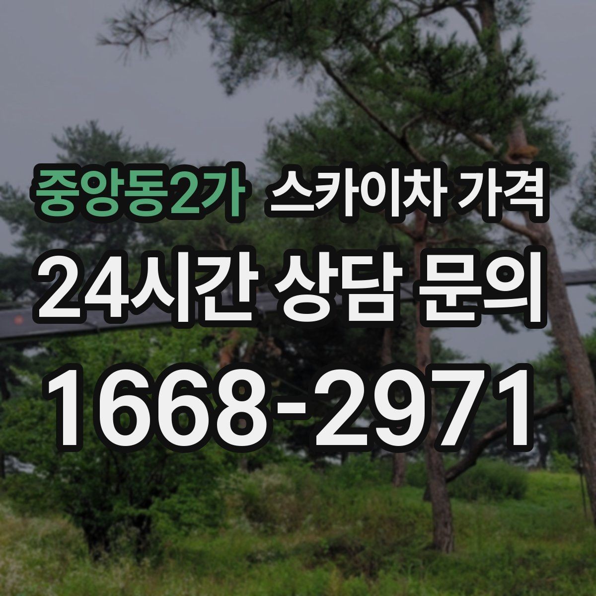 중앙동2가 스카이차 가격 작업 위치가 전면·측면·후면이면 달라질까