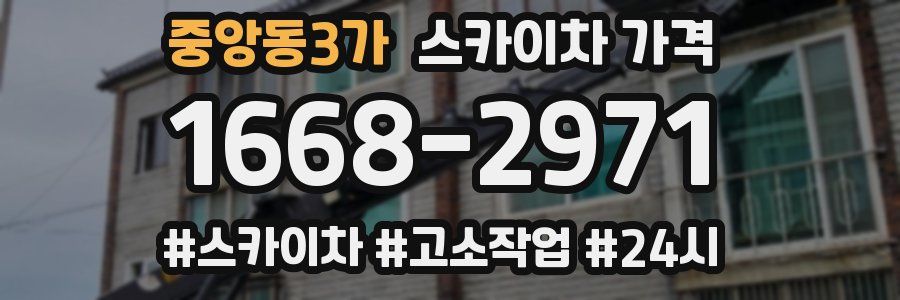 중앙동3가 스카이차 가격