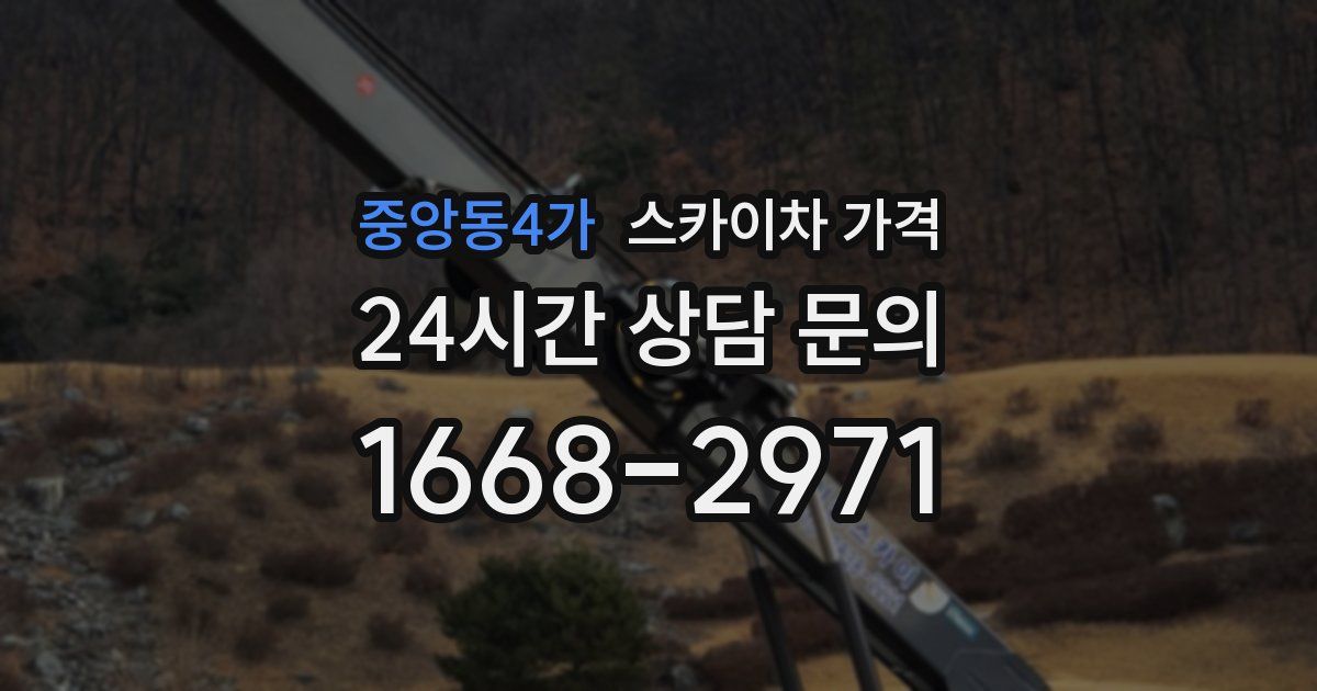 중앙동4가 스카이차 가격