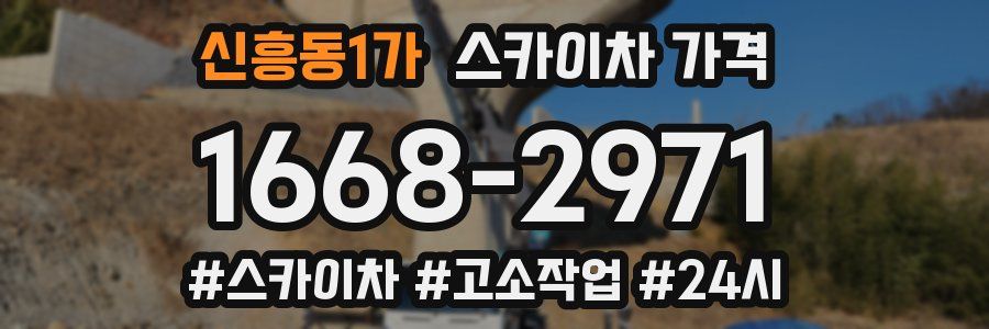 신흥동1가 스카이차 가격