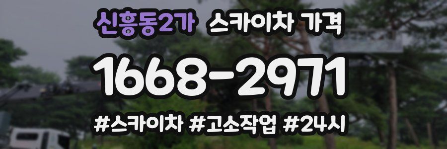 신흥동2가 스카이차 가격