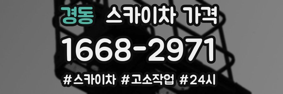 경동 스카이차 가격