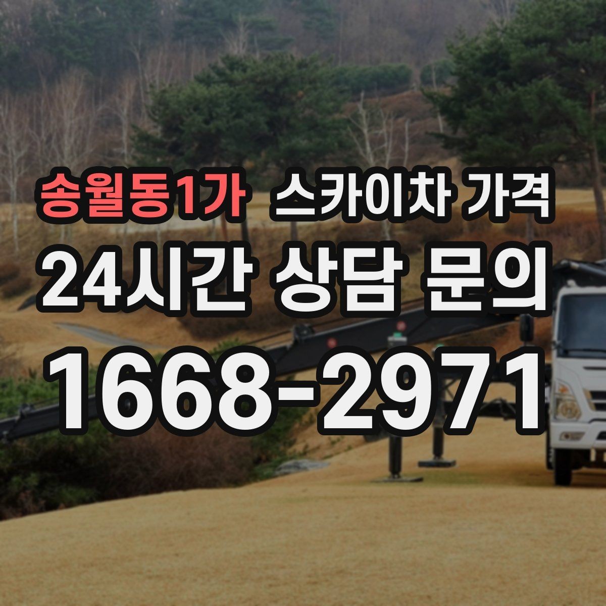 송월동1가 스카이차 가격 수목 전정 작업에서 확인할 항목