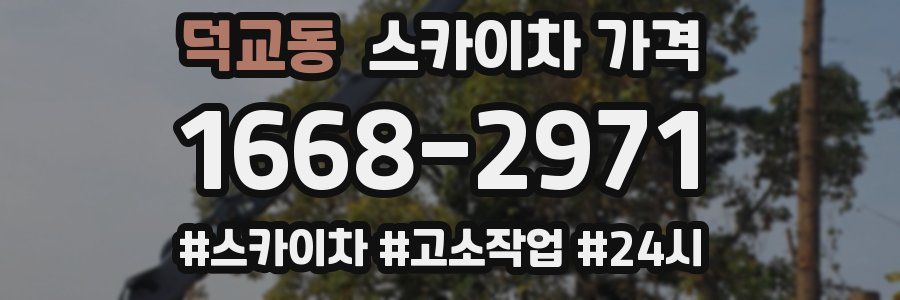 덕교동 스카이차 가격