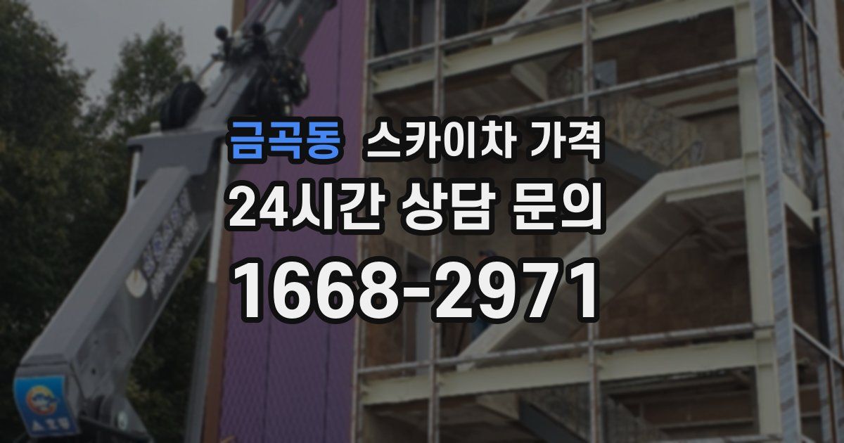 금곡동 스카이차 가격