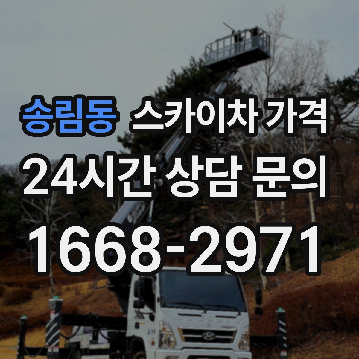 송림동 스카이차 가격