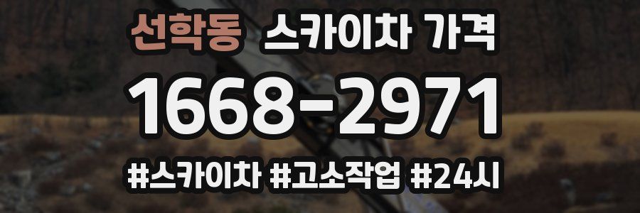 선학동 스카이차 가격