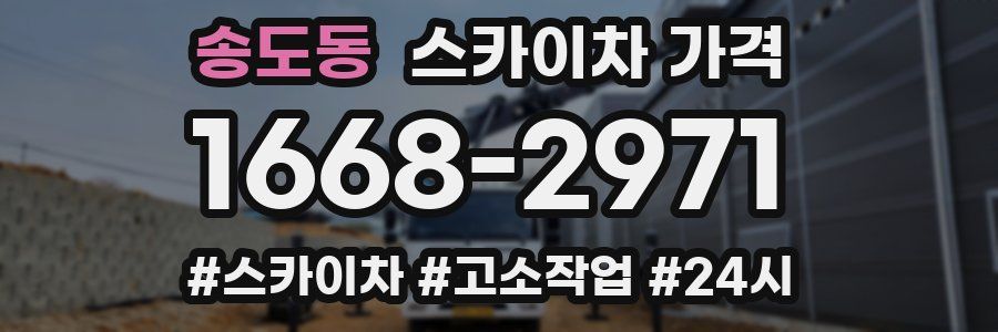 송도동 스카이차 가격