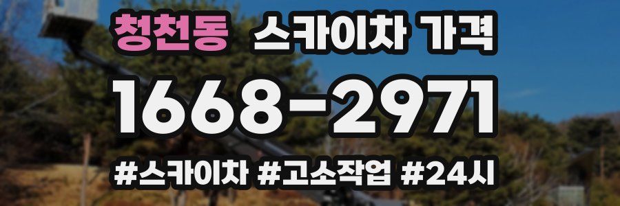 청천동 스카이차 가격