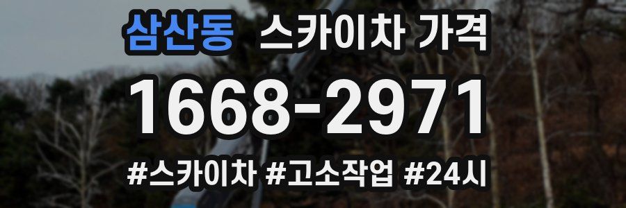 삼산동 스카이차 가격