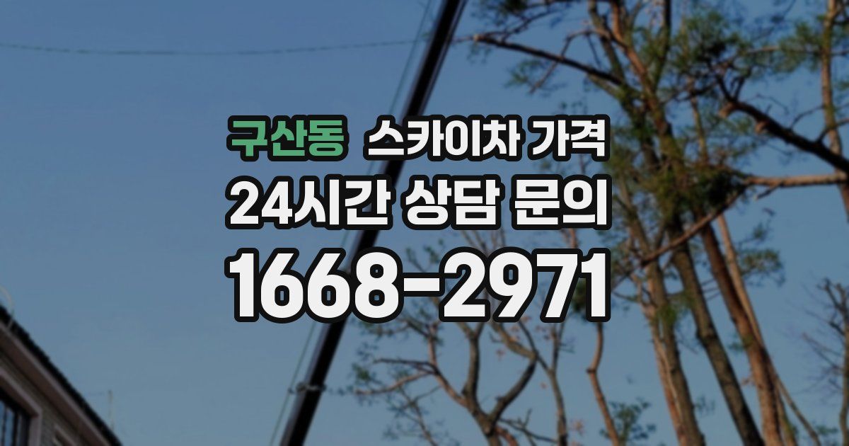 구산동 스카이차 가격