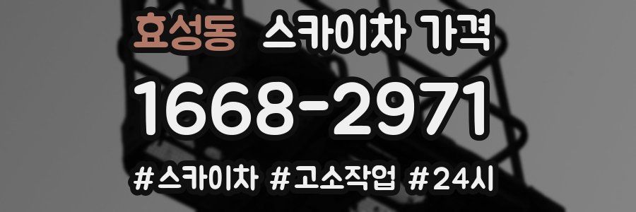 효성동 스카이차 가격