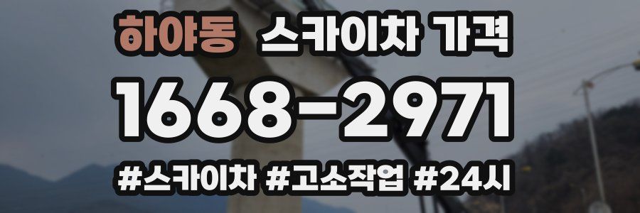 하야동 스카이차 가격