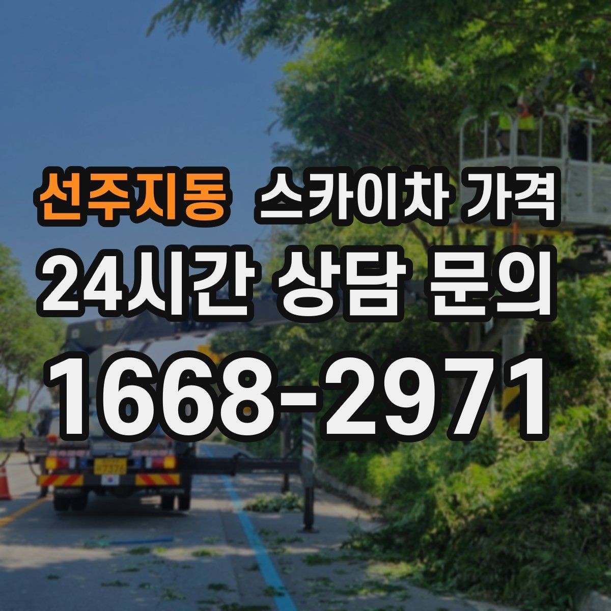 선주지동 스카이차 가격 조명 교체 작업에서 가격이 달라지는 이유