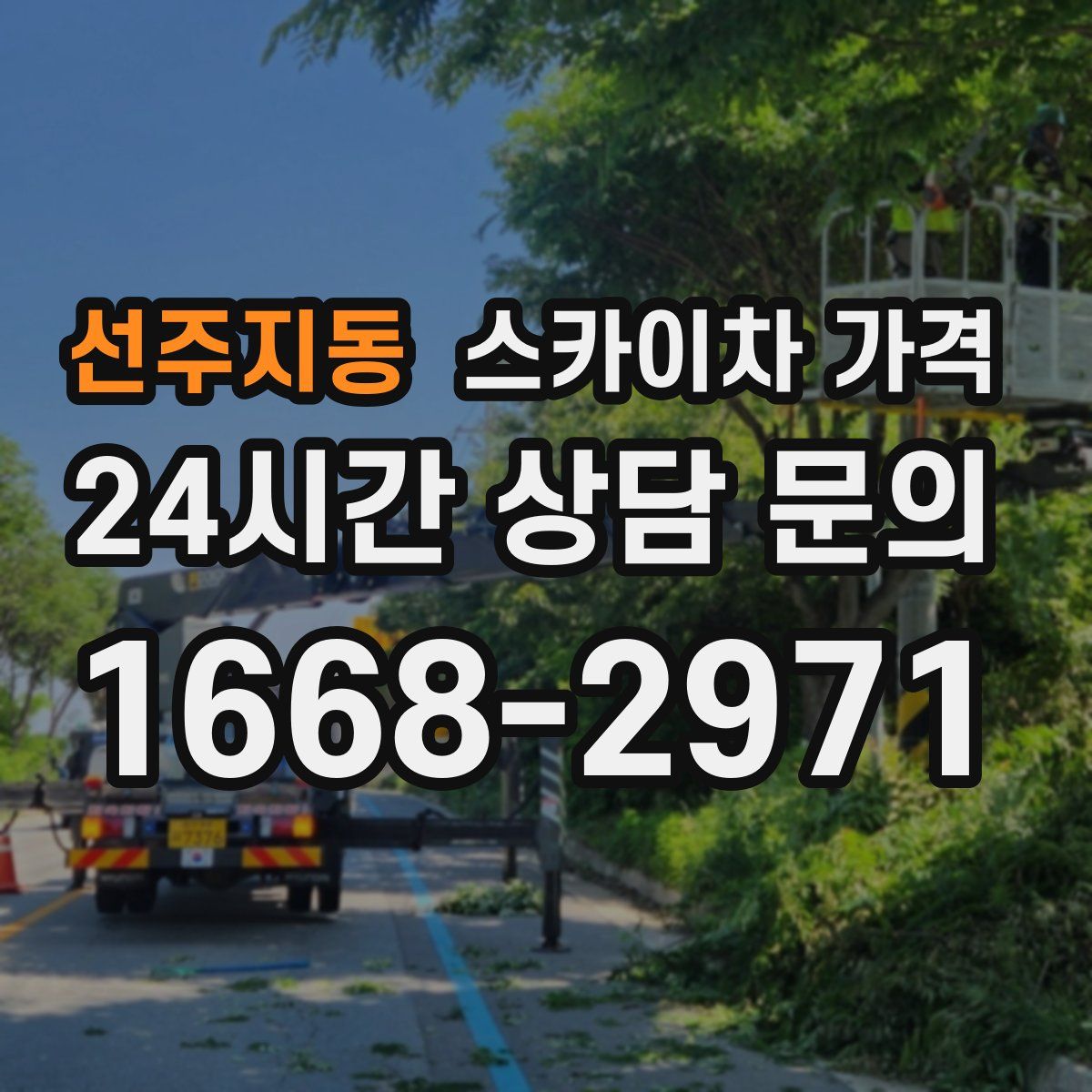 선주지동 스카이차 가격