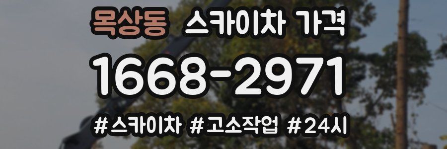 목상동 스카이차 가격