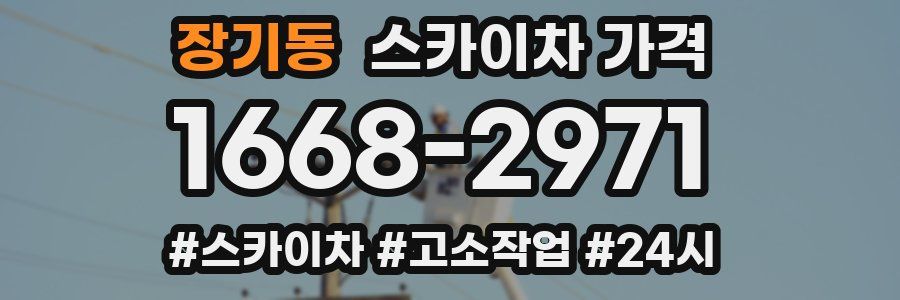 장기동 스카이차 가격