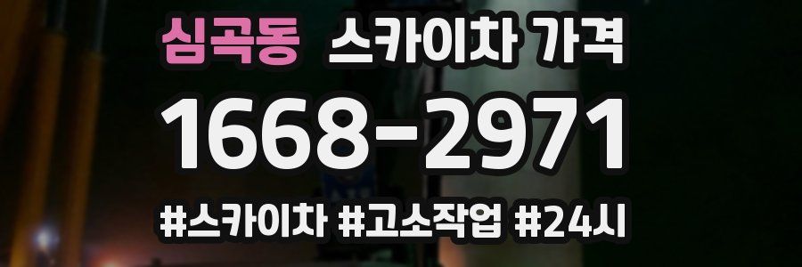 심곡동 스카이차 가격