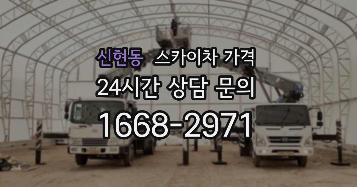 신현동 스카이차 가격