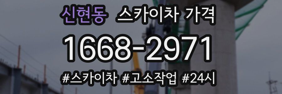 신현동 스카이차 가격