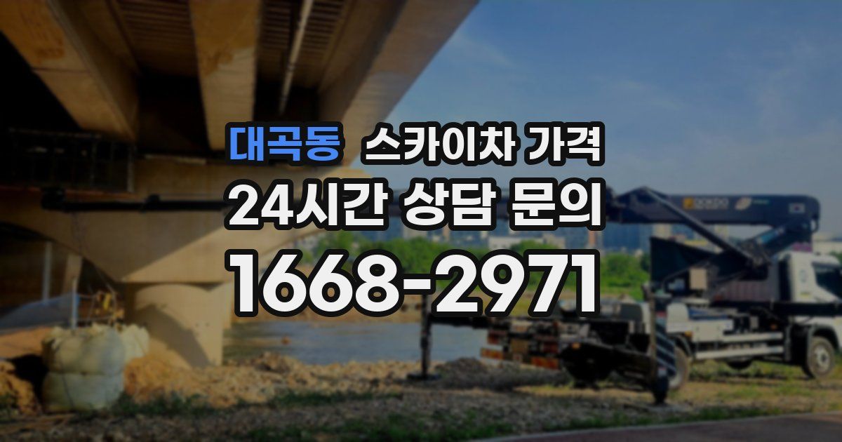 대곡동 스카이차 가격