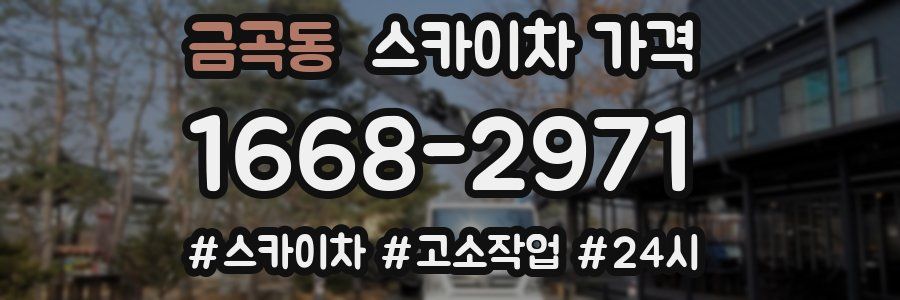 금곡동 스카이차 가격