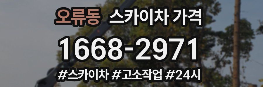 오류동 스카이차 가격