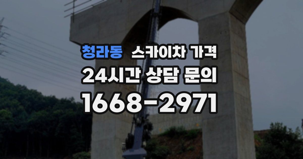 청라동 스카이차 가격