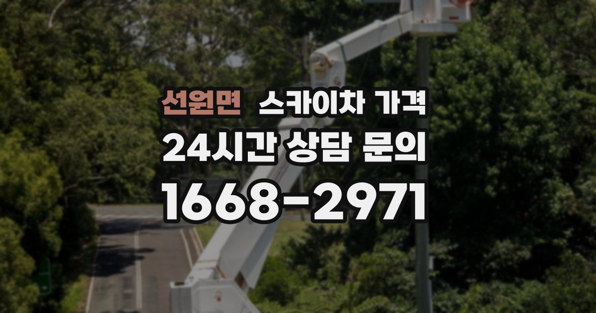 선원면 스카이차 가격