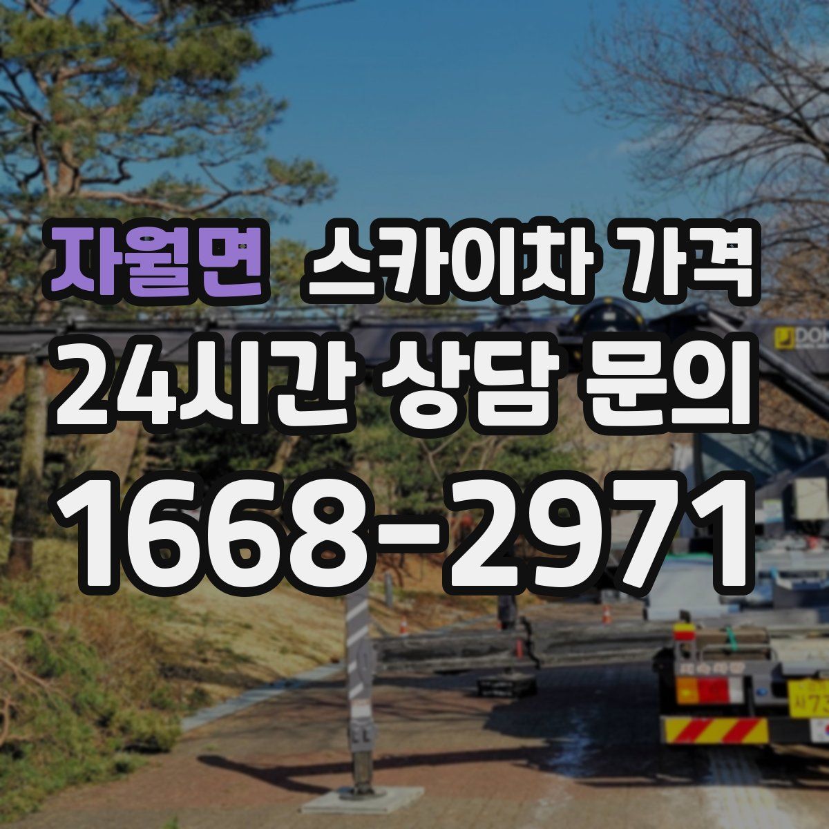 자월면 스카이차 가격