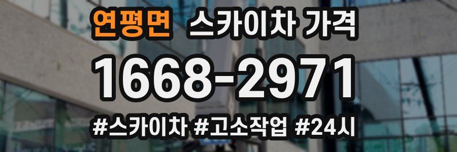 연평면 스카이차 가격