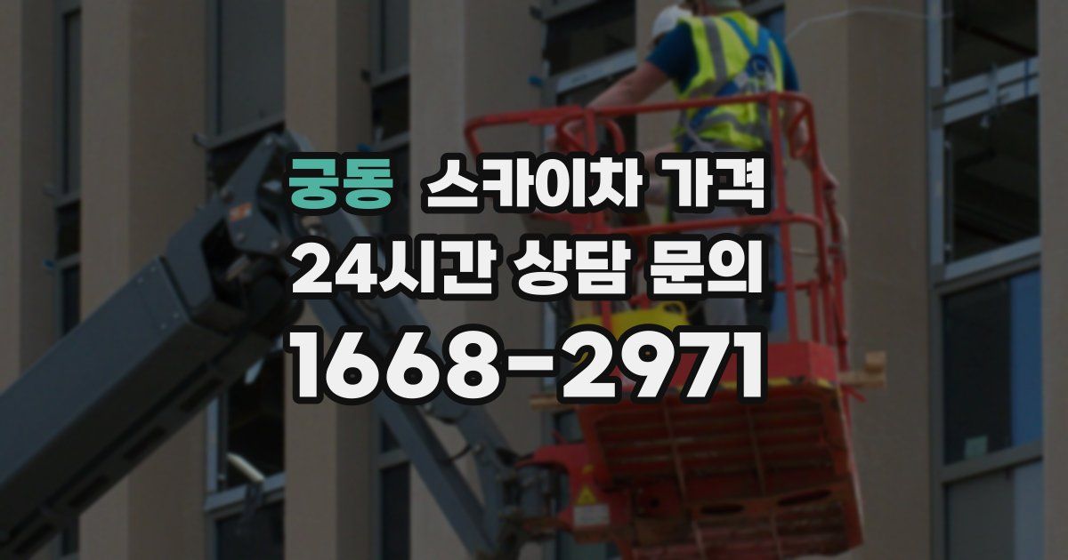 궁동 스카이차 가격