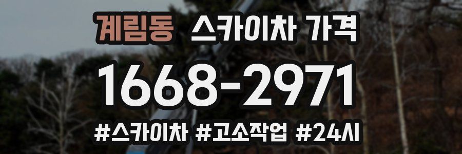 계림동 스카이차 가격