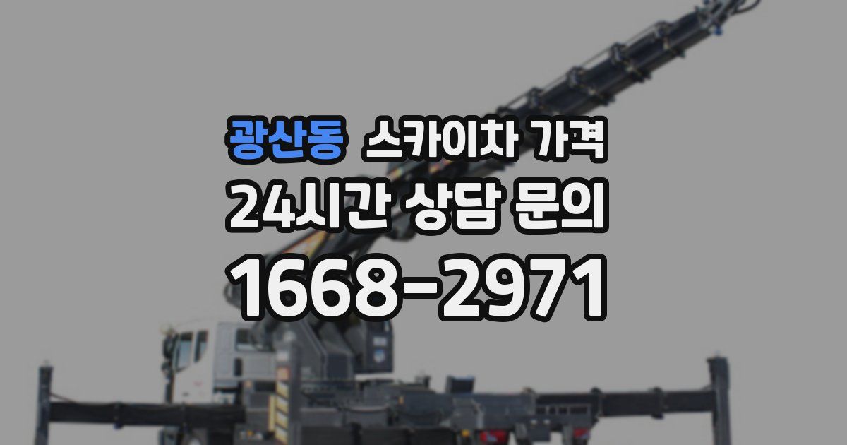 광산동 스카이차 가격