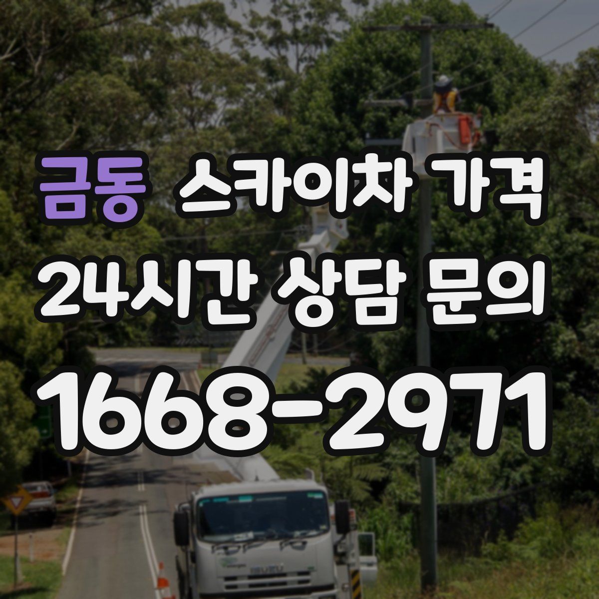 금동 스카이차 가격