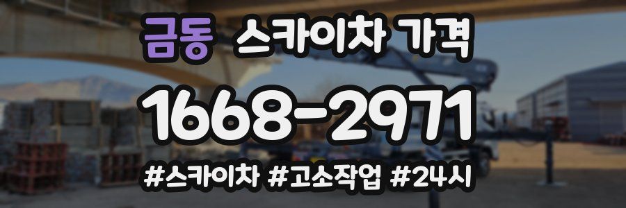 금동 스카이차 가격