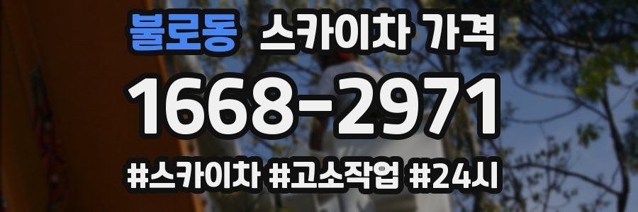 불로동 스카이차 가격