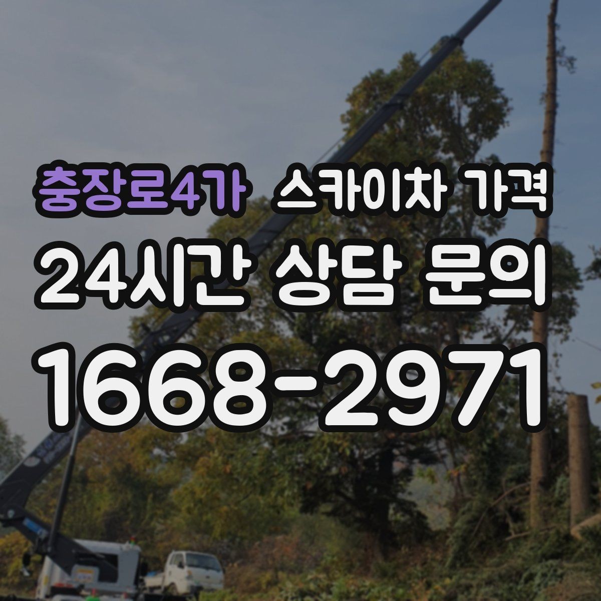 충장로4가 스카이차 가격 수목 전정 작업에서 확인할 항목
